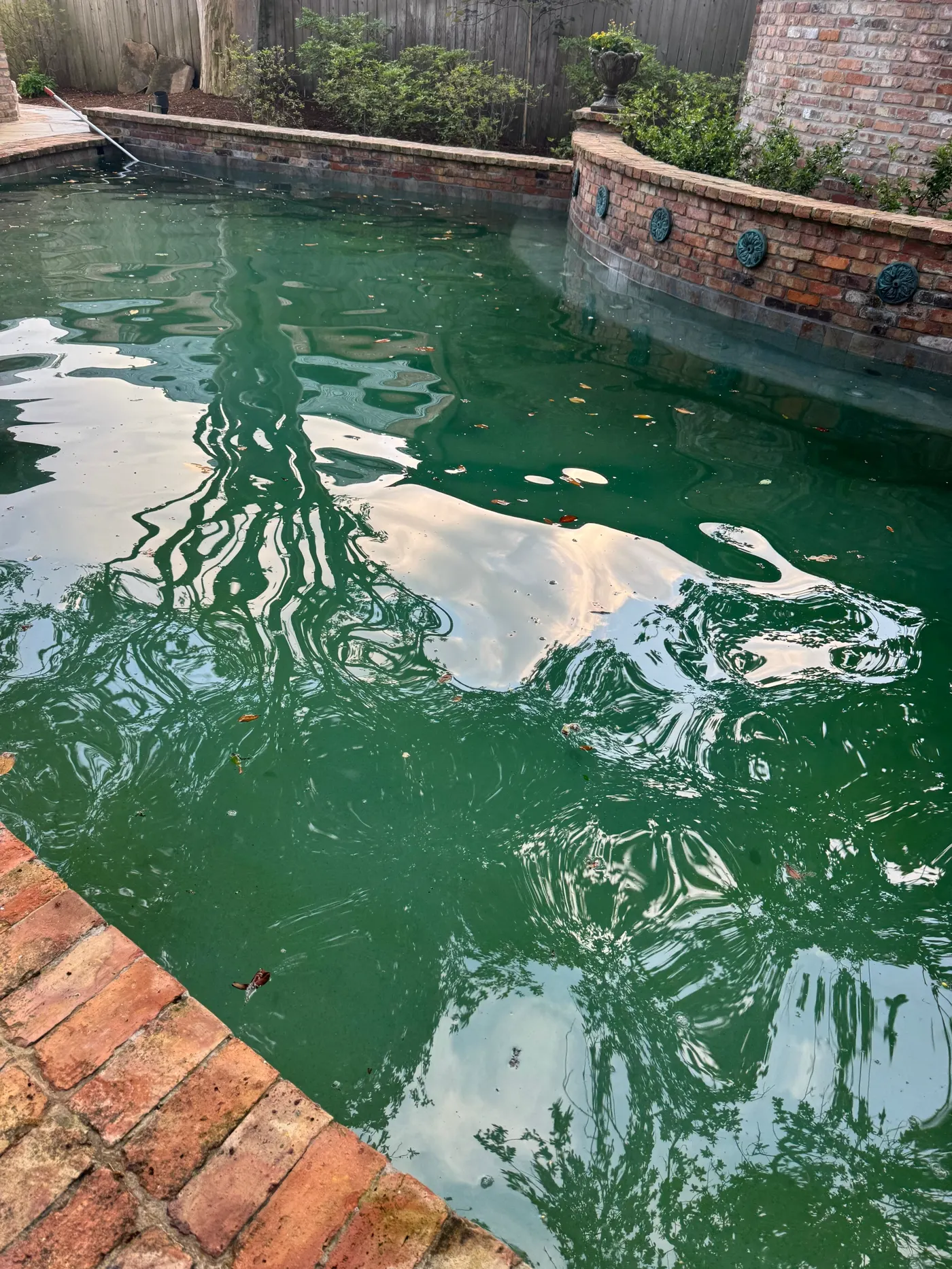 Piscina con agua verde y sucia antes del servicio